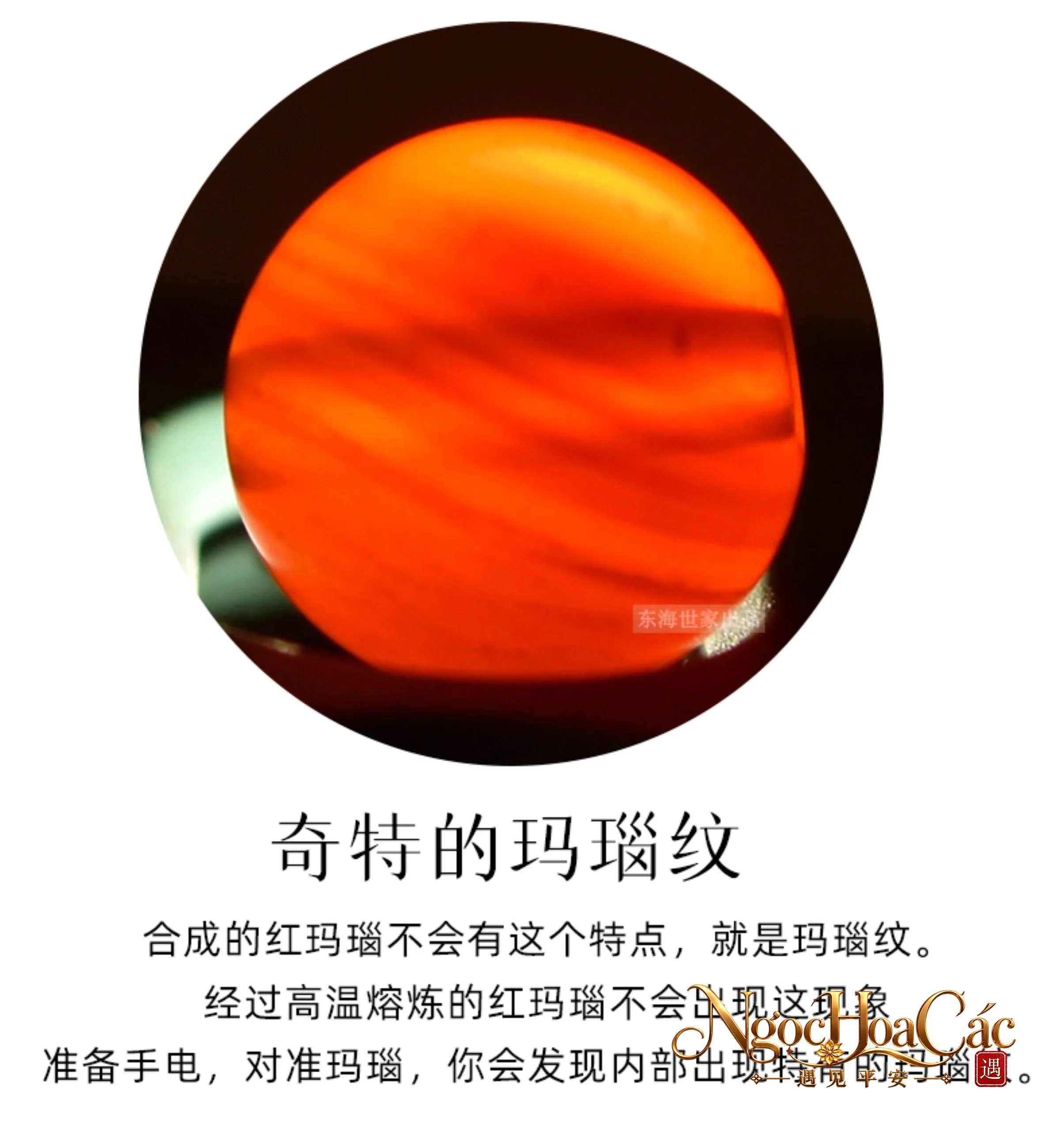 Hạt đá rời Đông Hải