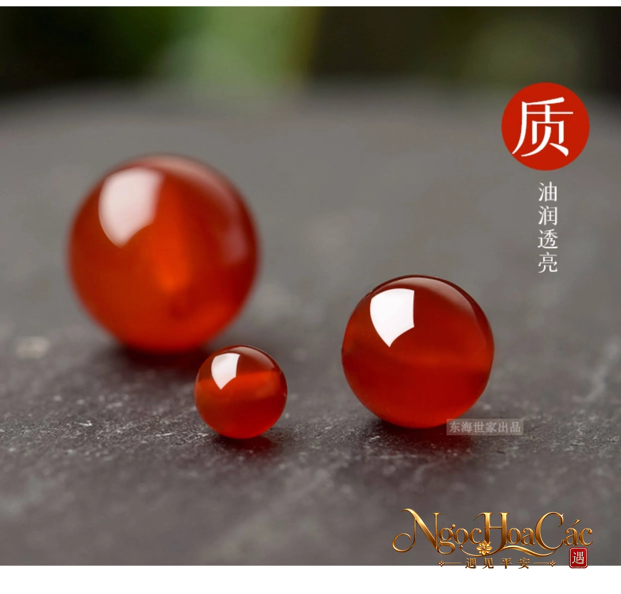 Hạt đá rời Đông Hải