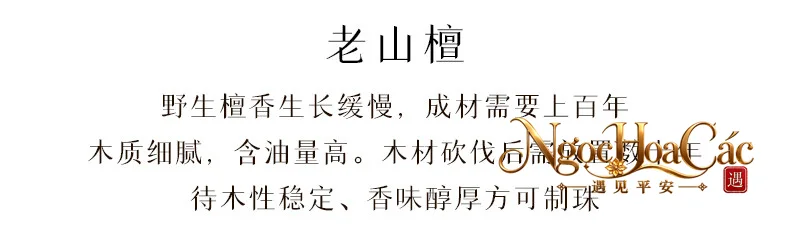 Hạt & chuỗi gỗ đàn hương Lão Sơn Đông Hải